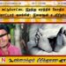 கட்டுப்பாட்டை இழந்து மரத்தில் மோதிய மோட்டார் சைக்கிள்; இளைஞன் உயிரிழப்பு!