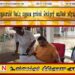 ஐக்கிய ஜனநாயக குரல் சார்பாக பதுளையில் வேட்பு மனுவை தாக்கல் செய்தார் வடிவேல் சுரேஷ்!