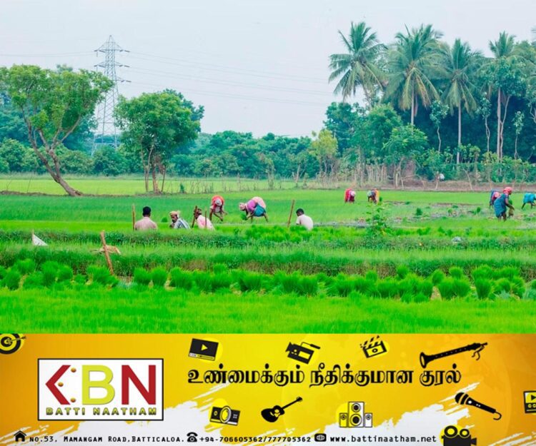 விவசாயிகளுக்கு மகிழ்ச்சியான செய்தி; ஒரு ஹெக்டயருக்கு 25,000 ரூபாய் உர நிவாரணம்!