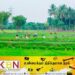 விவசாயிகளுக்கு மகிழ்ச்சியான செய்தி; ஒரு ஹெக்டயருக்கு 25,000 ரூபாய் உர நிவாரணம்!