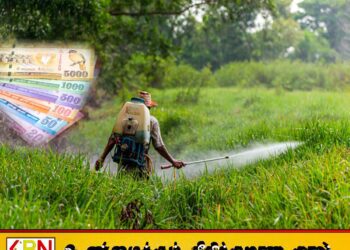 விவசாயிகளின் வங்கி கணக்கில் மானியம் வைப்பிலிடப்பட்டது