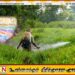 விவசாயிகளின் வங்கி கணக்கில் மானியம் வைப்பிலிடப்பட்டது