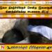 இசை நிகழ்ச்சிக்குச் சென்ற இளைஞன் கிணற்றிலிருந்து சடலமாக மீட்பு!