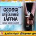 யாழில் கஞ்சாவுடன் சந்தேகநபர் கைது