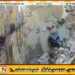 60 அடி ஆழமுள்ள பாறை குழியில் விழுந்து கார் விபத்து; ஒருவர் உயிரிழப்பு