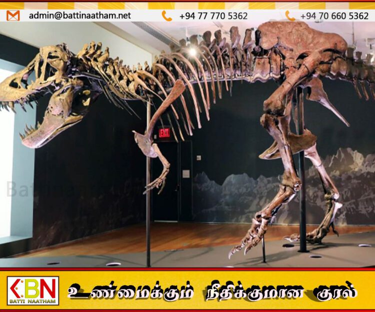 பாரிசில் ஏலத்திற்கு வரவுள்ள உலகின் மிகப்பெரிய டைனோசர் எலும்புக்கூடு