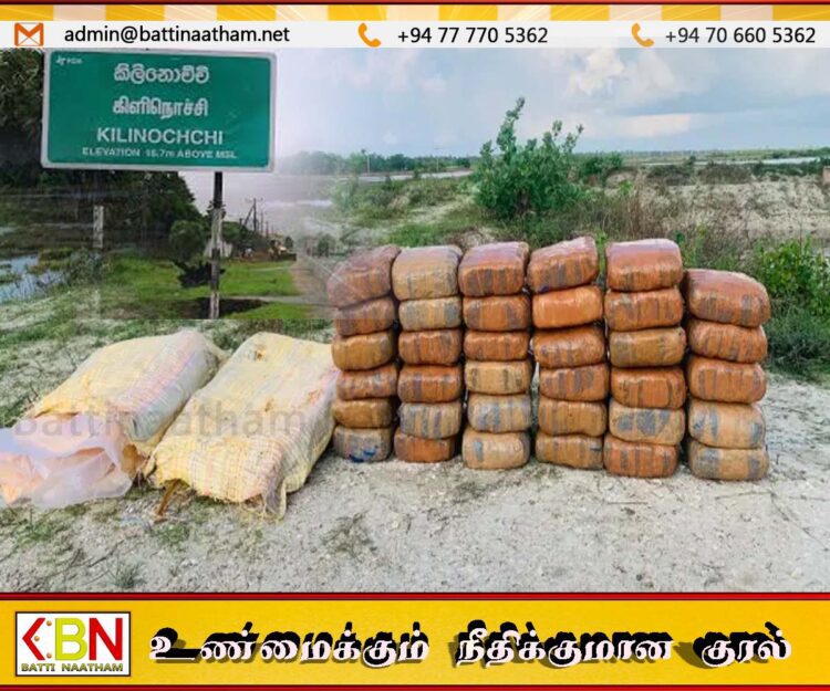 கிளிநொச்சியில் 80 கிலோ கேரள கஞ்சா மீட்பு
