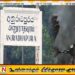 அநுராதபுரத்தில் ஹெரோயின் போதைப்பொருளுடன் சட்டத்தரணி கைது