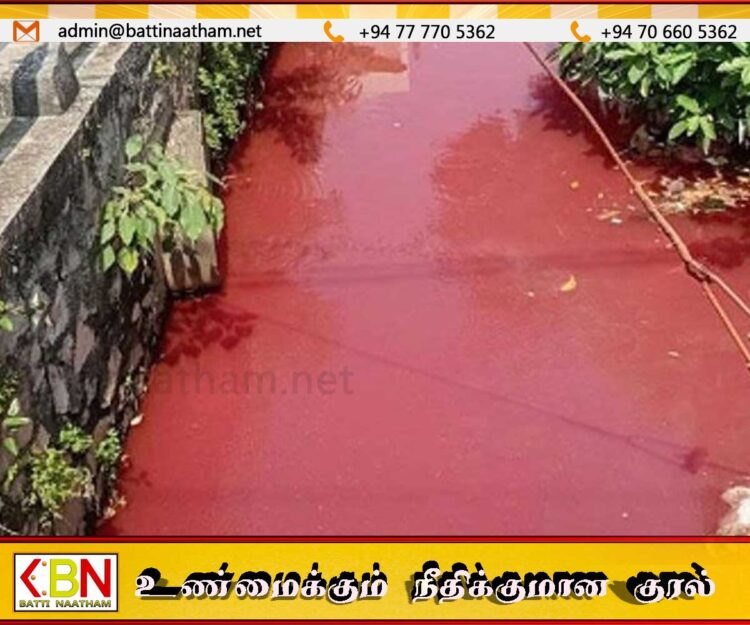 தெஹிவளையில் சிவப்பு நிறமாக மாறிய கால்வாய்
