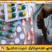 கல்கிஸ்ஸை பகுதியில் போதை மாத்திரைகளுடன் ஒருவர் கைது