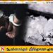 கொழும்பு பகுதியில் ஐஸ் போதைப்பொருளுடன் இளைஞன் கைது