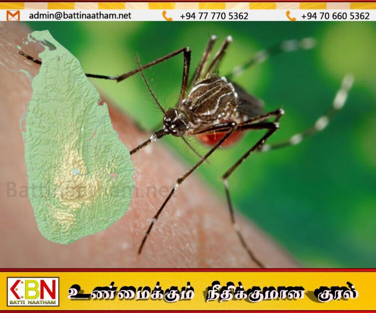 டெங்கு நோய் தாக்கம்; வடக்கு, கிழக்கு மக்களுக்கு விடுக்கப்பட்டுள்ள எச்சரிக்கை!