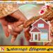 திருமணம் செய்துகொள்ளும் தம்பதியினருக்கு வீடு; வீடமைப்பு பிரதி அமைச்சர் கோரிக்கை