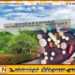 வெளிநாட்டு பிரஜை ஒருவர் கட்டுநாயக்காவில் கைது