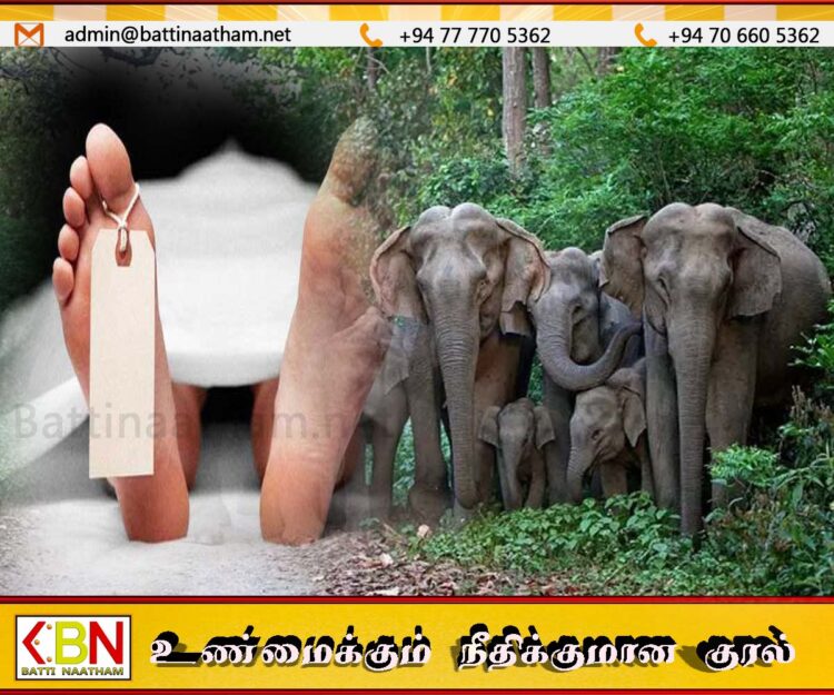 காட்டு யானை தாக்குதலுக்கு இலக்காகி குடும்பஸ்தர் பலி