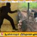 மாடு திருடியவர்களிடம் கைக்குண்டு மீட்பு