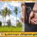 அறுகம்பை தாக்குதல் தொடர்பில் மாலைதீவு பிரஜை உட்பட 6 பேர் கைது
