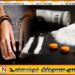 சக்கர நாற்காலியில் பயணித்த வயோதிப பயணி ஒருவர் கட்டுநாயக்கவில் போதை பொருளுடன் கைது