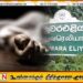 நுவரெலியா பகுதியில் கோர விபத்து; ஒருவர் பலி