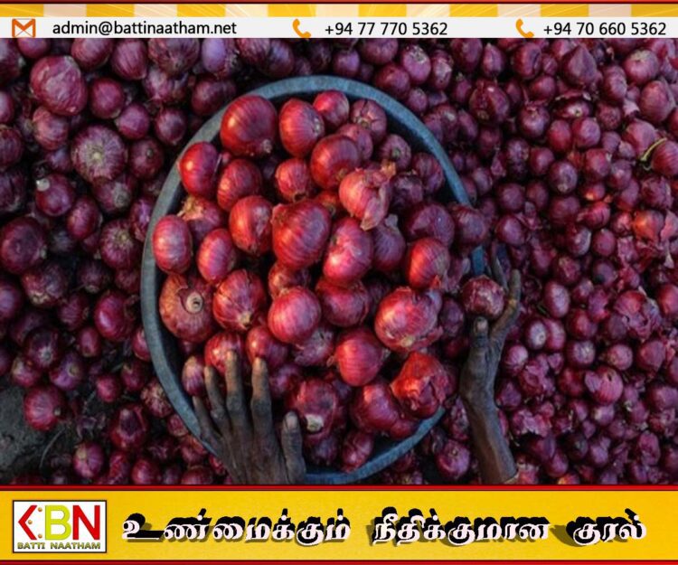 உள்நாட்டு பெரிய வெங்காயத்தின் விலை அதிகரிப்பு