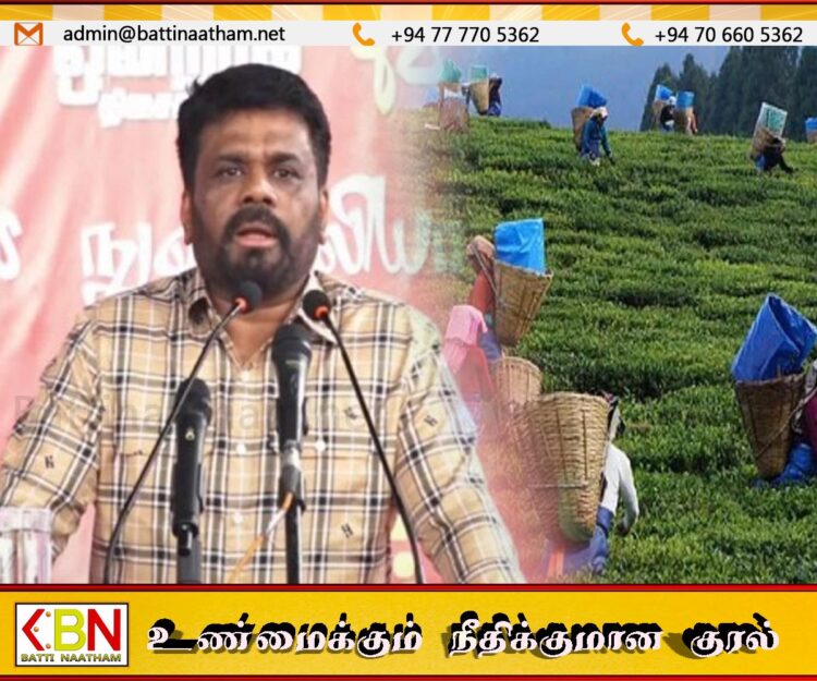 நுவரெலியாவில் இனி அரசியல் சண்டித் தனங்களுக்கு இடமில்லை; ஜனாதிபதி அநுர