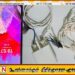 பொடி லெசியின் சிறைக் கூண்டிலிருந்து பல பொருட்கள் மீட்பு