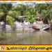 புத்தளம் மாவட்டத்தில் 6201 குடும்பங்கள் பாதிப்பு