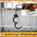 கிளைமோர் குண்டுகளை உடமையில் வைத்திருந்த குற்றச்சாட்டில் சிறையிலிருந்தவர்கள் விடுதலை