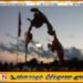 தமிழீழ தேசிய கொடிதினம்- தமிழ் சமூகத்திற்கு ஆதரவாகயிருப்பது குறித்து பெருமிதம்; கனடா அரசியல்வாதி