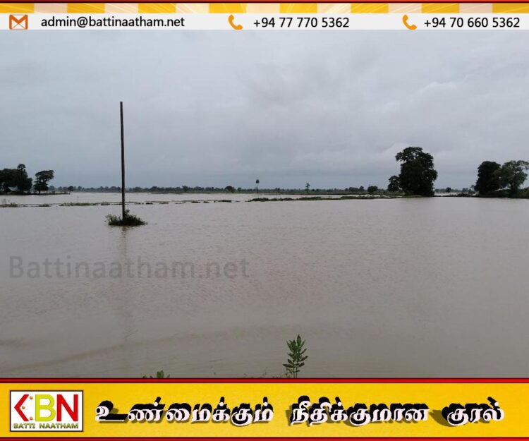தம்பலகாமத்தில் வயல் நிலங்கள் நீரில் மூழ்கின