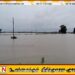 தம்பலகாமத்தில் வயல் நிலங்கள் நீரில் மூழ்கின