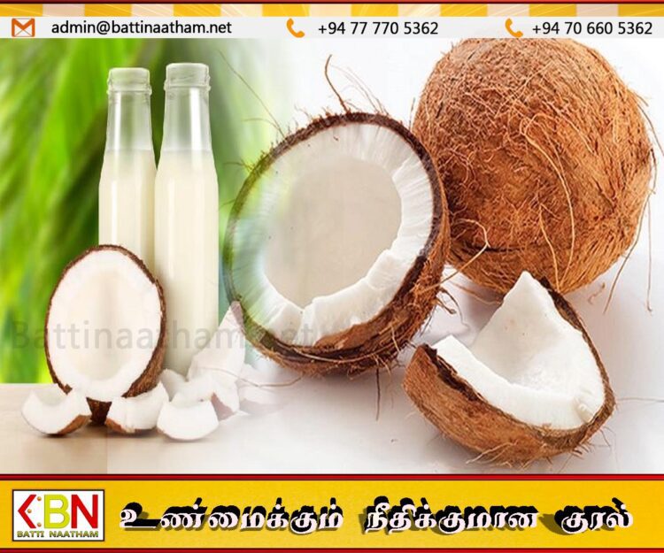 அடுத்த வருடம் வரை தேங்காய் தட்டுப்பாடு தொடரும்; தென்னை ஆராய்ச்சி நிறுவனம் தெரிவிப்பு