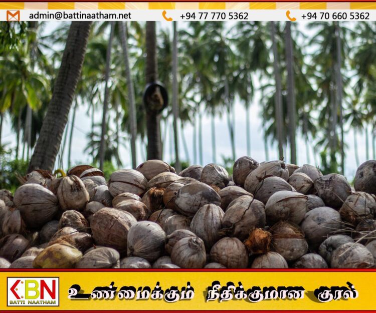தேங்காய் தட்டுப்பாட்டிற்கு தீர்வாக புதிய கலப்பின தென்னை இனங்களை அறிமுகம் செய்யத் தீர்மானம்