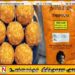 திரிபோஷா நிறுவனத்தை மூடுவதற்கு அரசு எடுத்துள்ள தீர்மானம்; முன்வைக்கப்பட்டுள்ள குற்றச்சாட்டு!