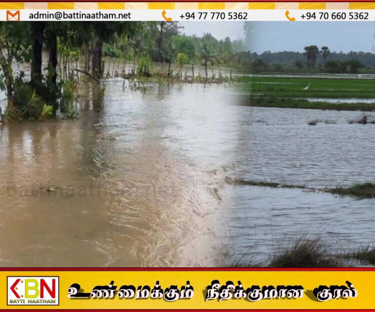 வயலுக்கு சென்று வெள்ளத்தில் சிக்கியுள்ள மட்டு விவசாயிகள்; தொடர்பு துண்டிக்கப்பட்டுள்ளதாக தகவல்