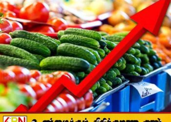 மீண்டும் உயர்ந்தது மரக்கறி விலை