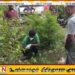 ஓட்டமாவடியில் விபத்து ஒருவர் பலி