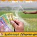 விவசாயிகளுக்கு மகிழ்ச்சியான செய்தி; வங்கிக்கணக்குகளுக்கு வரவுள்ள உரமானியம்