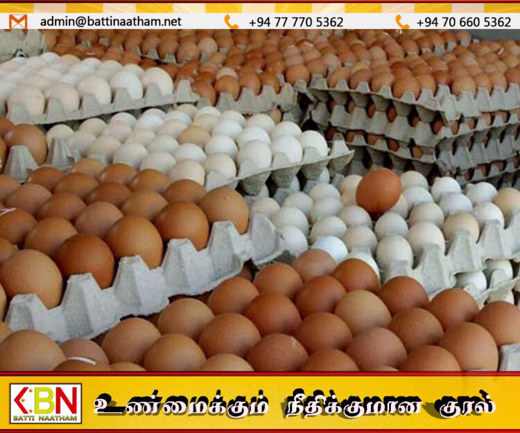 கோழி முட்டைக்கு தட்டுப்பாடு ஏற்படாது; அகில இலங்கை கால்நடை உற்பத்தியாளர்கள் சங்கம்