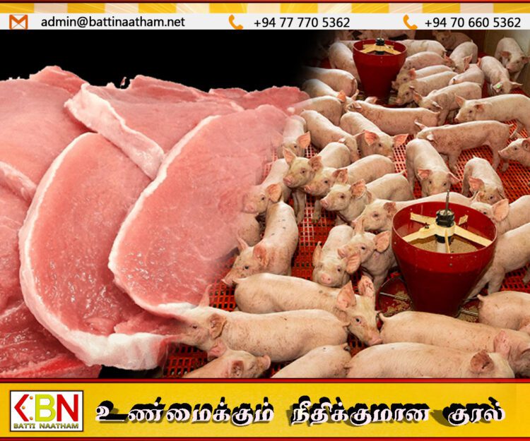 பன்றி இறைச்சி குறித்து அச்சம் வேண்டாம் ; வைத்தியர் சுசிர பிரியசிறி