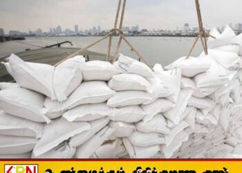அரிசி இறக்குமதிக்கான கால அவகாசம் நீடிப்பு