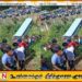 கண்டி நோக்கி பயணித்த தனியார் பஸ் பள்ளத்தில் விழுந்து விபத்து; மூவர் உயிரிழப்பு