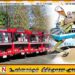 மது அருந்திய நிலையில் பேருந்தை ஓட்டிய போக்குவரத்து சபை சாரதி கைது