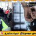 பல கொலைகளுடன் தொடர்புடையவர் கனடாவில் கைது