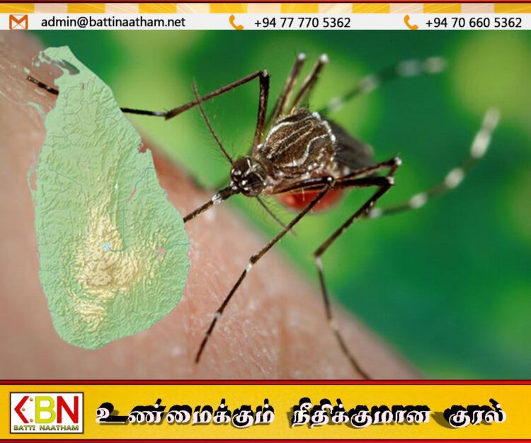 நாட்டில் மீண்டும் டெங்கு நோயின் தாக்கம் அதிகரித்துள்ளதாக தகவல்