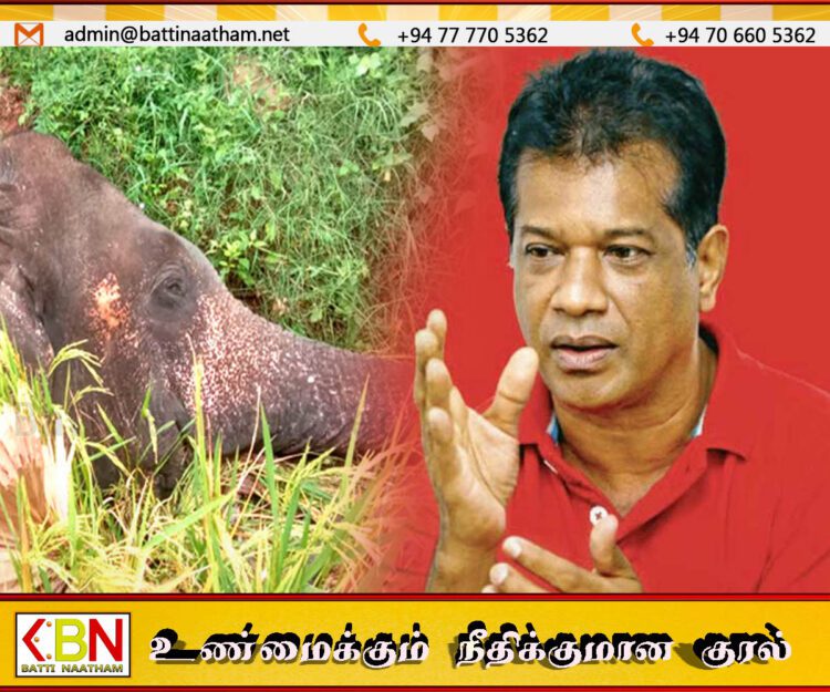 விவசாய நிலங்களுக்குள் வரும் வனவிலங்குகளை கொலை செய்யலாமா?; சர்ச்சையை ஏற்படுத்தியுள்ள அமைச்சரின் கருத்து