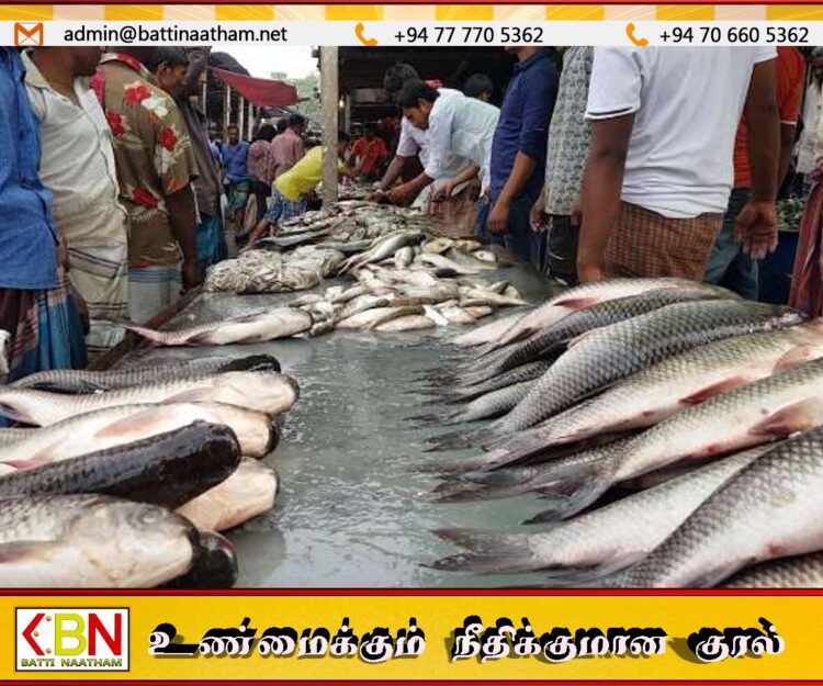 பண்டிகைக் காலத்தை முன்னிட்டு மீன்களின் விலை சடுதியாக அதிகரிப்பு