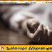 யாழ்ப்பாணம் பலாலி இராணுவ சார்ஜன்ட் ஒருவர் திடீரென உயிரிழப்பு