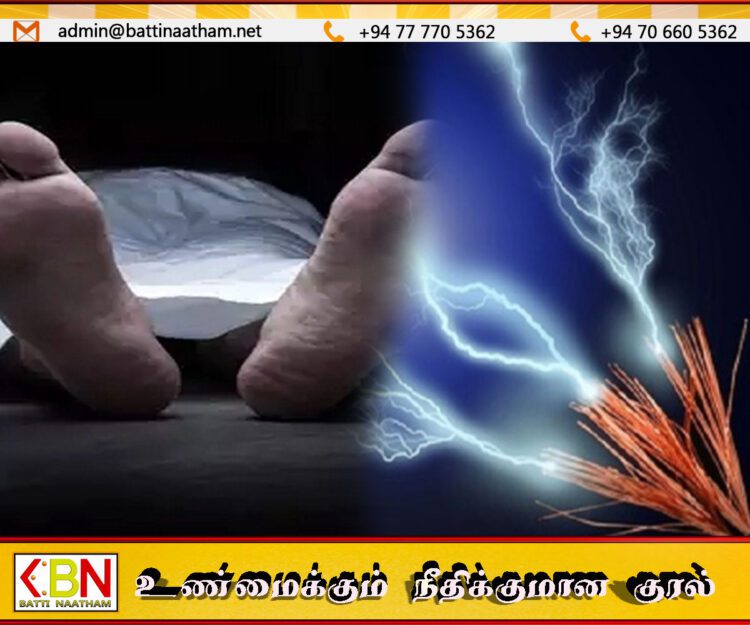 புத்தளத்தில் மின்சாரம் தாக்கி மூவர் உயிரிழப்பு