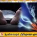 புத்தளத்தில் மின்சாரம் தாக்கி மூவர் உயிரிழப்பு